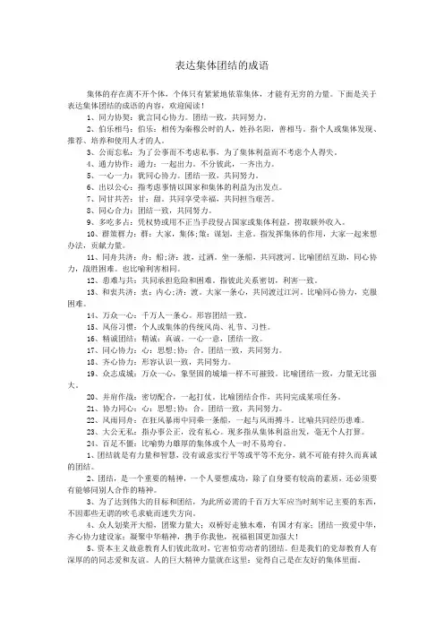 表达集体团结的成语