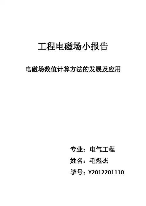 电磁场数值计算方法的发展及应用