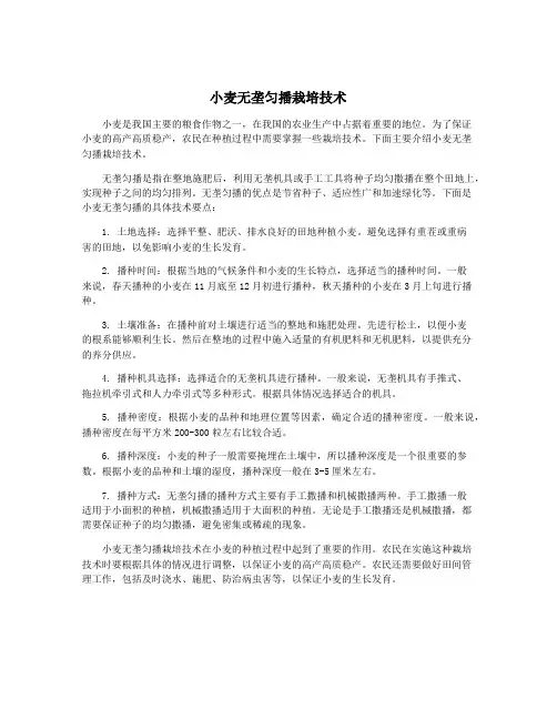 小麦无垄匀播栽培技术