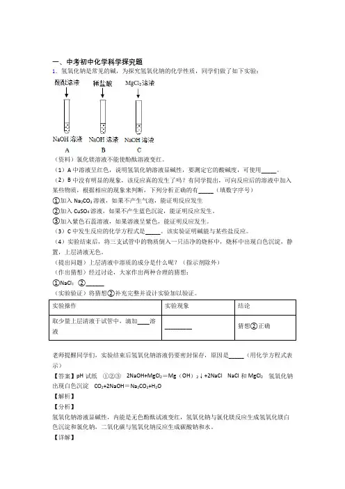 2020-2021备战中考化学压轴题专题复习—探究题的综合含详细答案