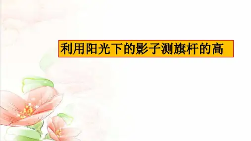 中考专题复习+利用阳光下的影子测旗杆的高+课件+-2023-2024学年北师大版数学九年级下册+