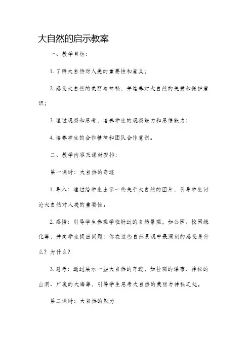 《大自然的启示》教案