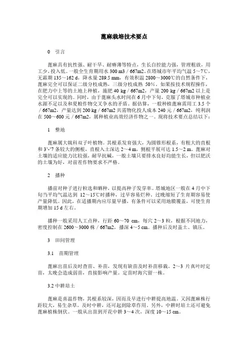 蓖麻栽培技术要点
