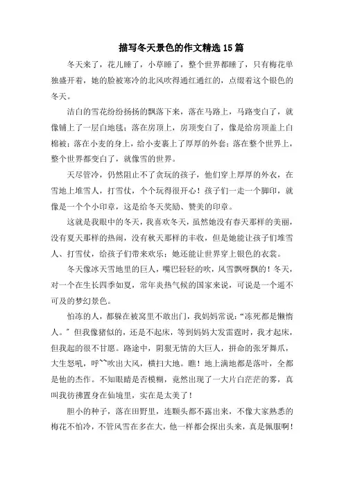 描写冬天景色的作文精选15篇精编