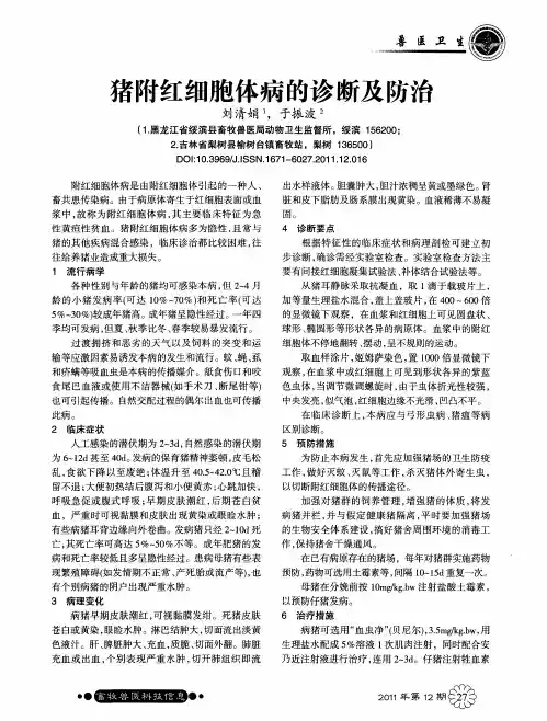 猪附红细胞体病的诊断及防治