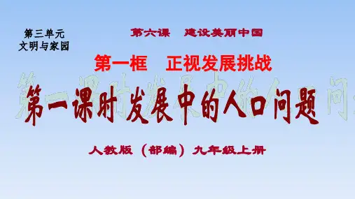 (部编)道德与法治九上6.1.1 发展中的人口问题(共24张PPT)