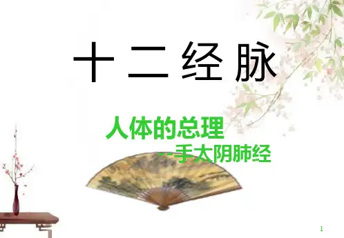 中医经络之手太阴肺经