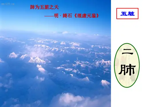 肺