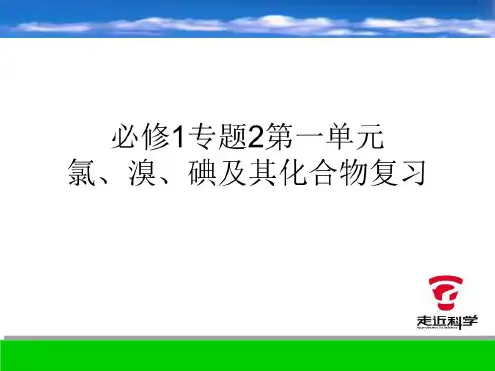 高一化学氯、溴、碘及其化合物