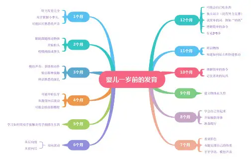 婴儿1岁发育时间图解