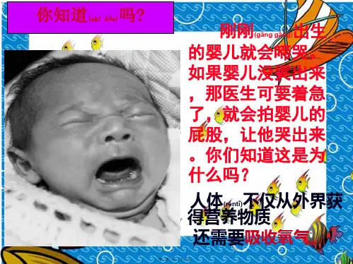 七年级生物下册第三章第一节呼吸道对空气的处理_1
