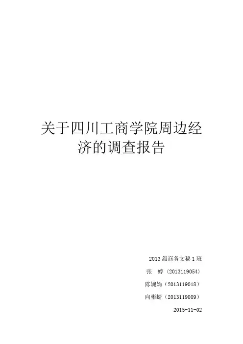 关于四川工商学院周边经济的调查报告