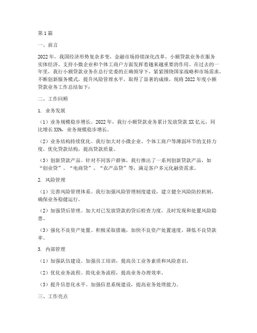 小贷年度工作总结范文(3篇)