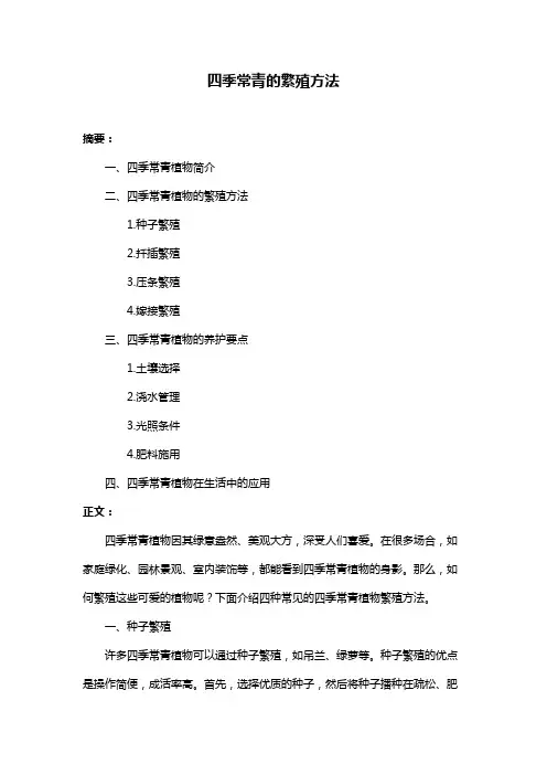 四季常青的繁殖方法