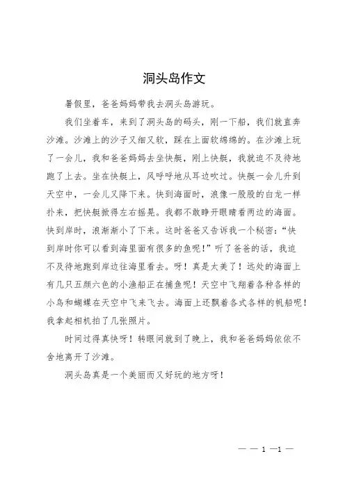 洞头岛作文