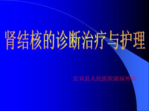 肾结核的诊断与治疗