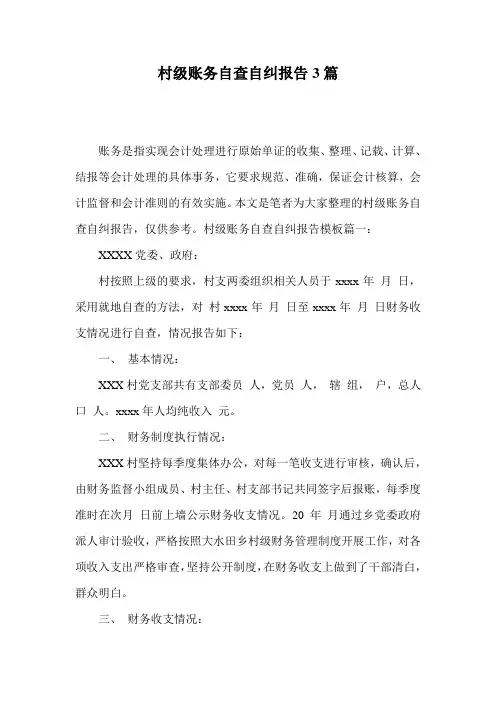 村级账务自查自纠报告3篇