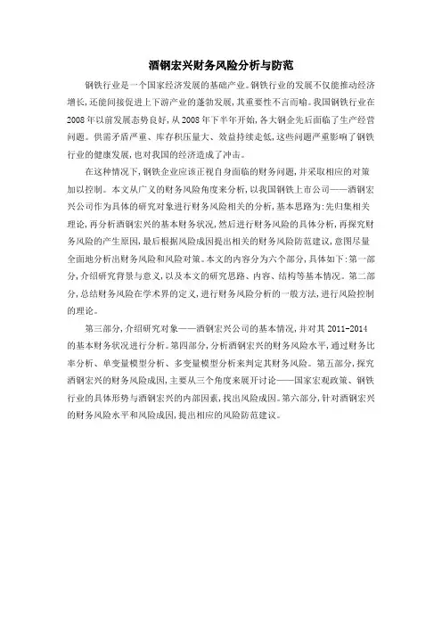 酒钢宏兴财务风险分析与防范