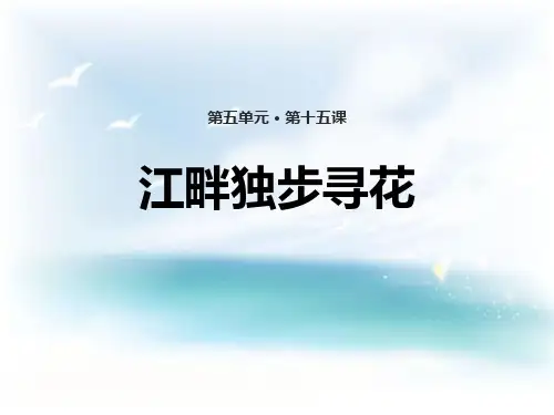 江畔独步寻花_PPT优秀课件