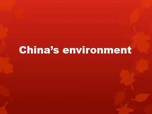 中国的环境污染【英文】
