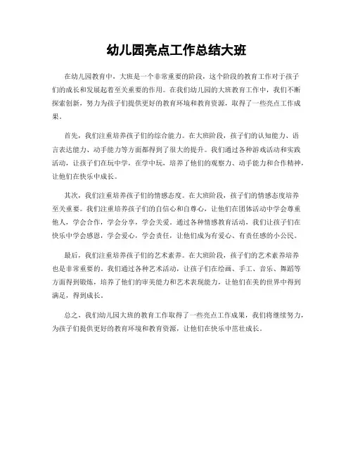 幼儿园亮点工作总结大班
