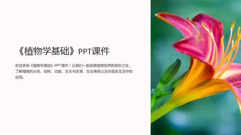 《植物学基础》课件