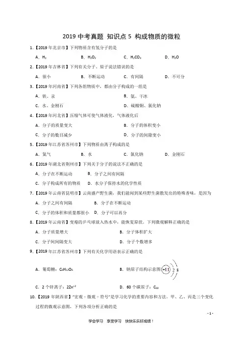 2019中考化学真题 知识点5 构成物质的微粒(精确排版+中考真题+难题精粹)