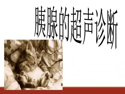 胰腺的超声诊断