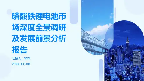 磷酸铁锂电池市场深度全景调研及发展前景分析报告