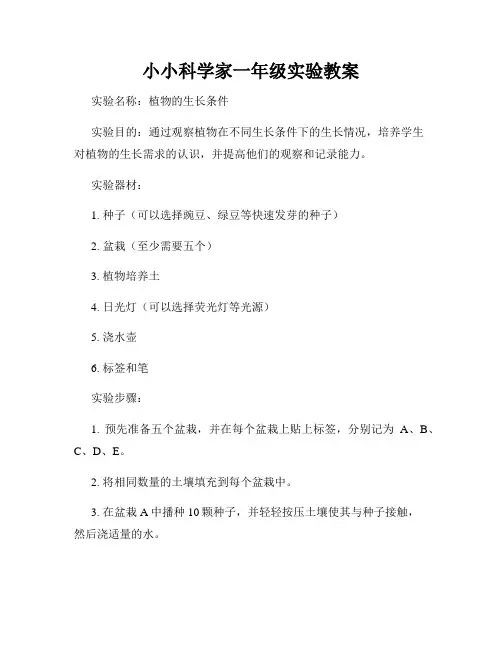 小小科学家一年级实验教案