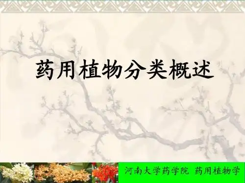 药用植物分类总论