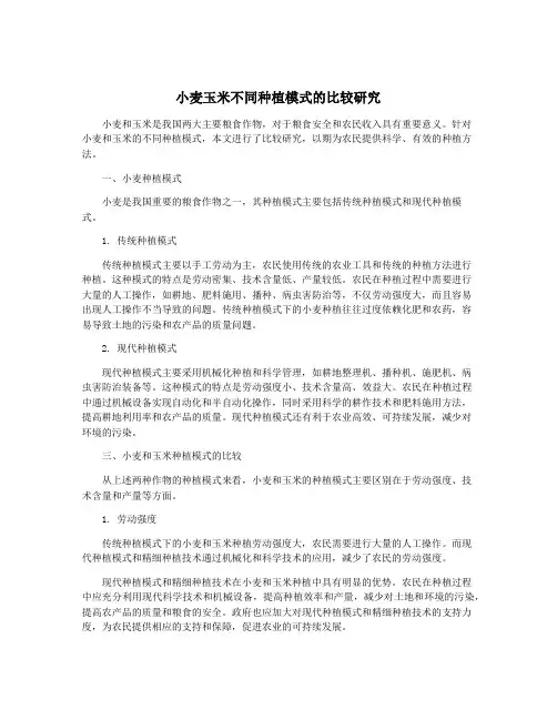 小麦玉米不同种植模式的比较研究