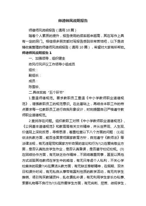 师德师风说明报告