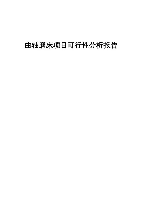 2024年曲轴磨床项目可行性分析报告