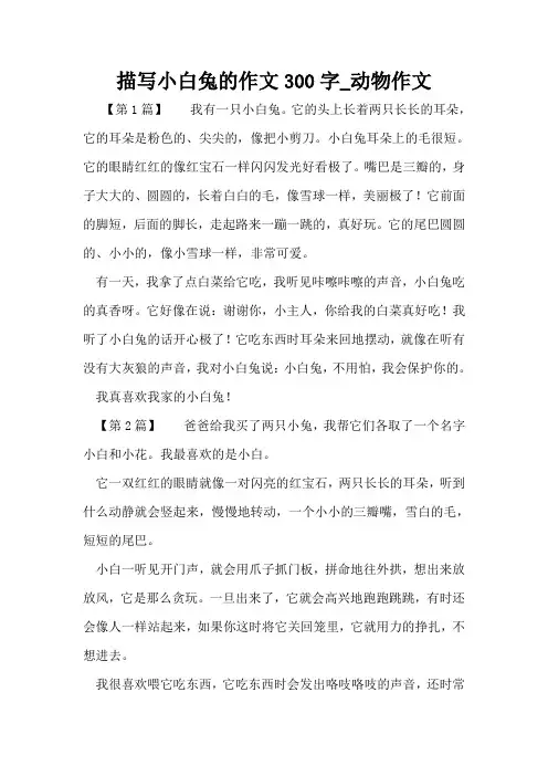 描写小白兔的作文300字_动物作文