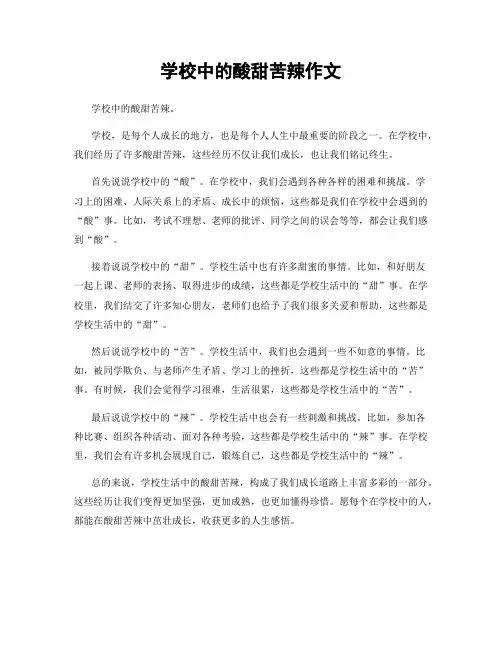 学校中的酸甜苦辣作文