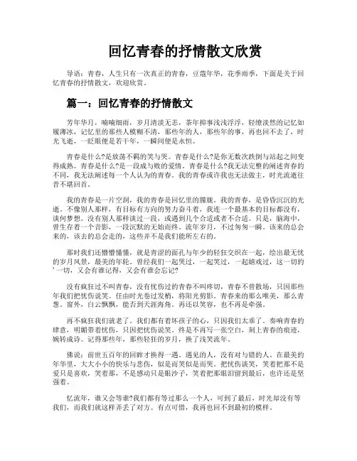 回忆青春的抒情散文欣赏