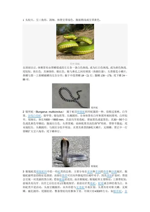 蛇