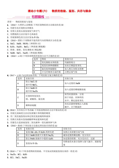 中考化学总复习专题六物质的检验鉴别共存与除杂习题