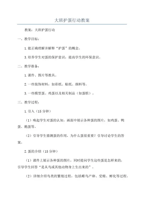 大班护蛋行动教案