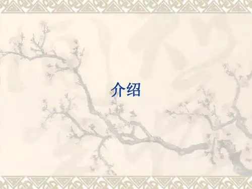 AO-标准的接骨板和螺丝钉技术-骨折外科手术