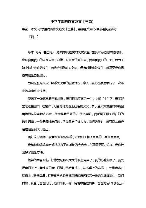 小学生消防作文范文【三篇】