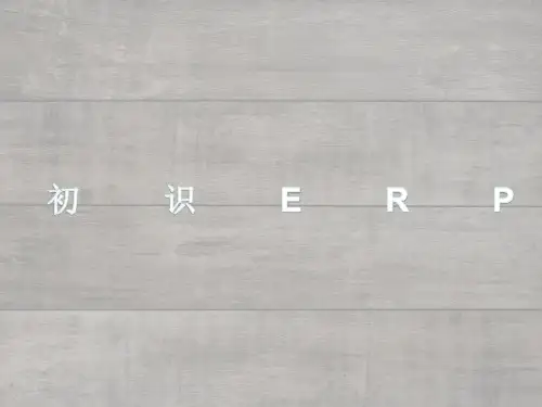 企业资源计划基础知识课件