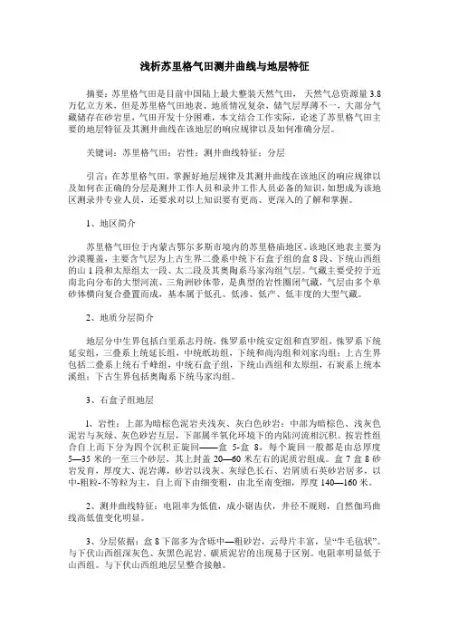 浅析苏里格气田测井曲线与地层特征