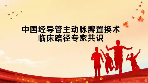 中国经导管主动脉瓣置换术临床路径专家共识