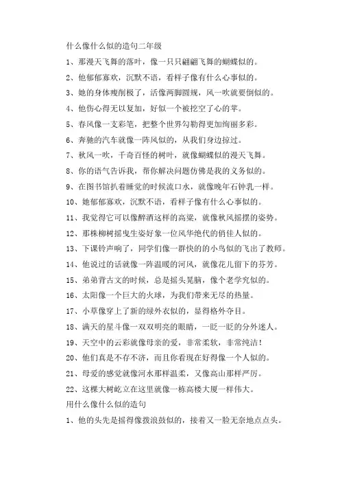 关于什么像什么似的造句二年级