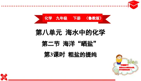 新鲁教版九年级化学下册同步讲解第3课时 粗盐的提纯
