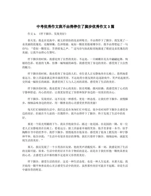 中考优秀作文我不由得停住了脚步优秀作文3篇