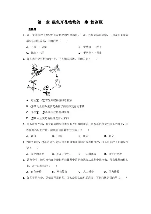 济南版生物八年级上册 第一章 绿色开花植物的一生  检测题(含答案)
