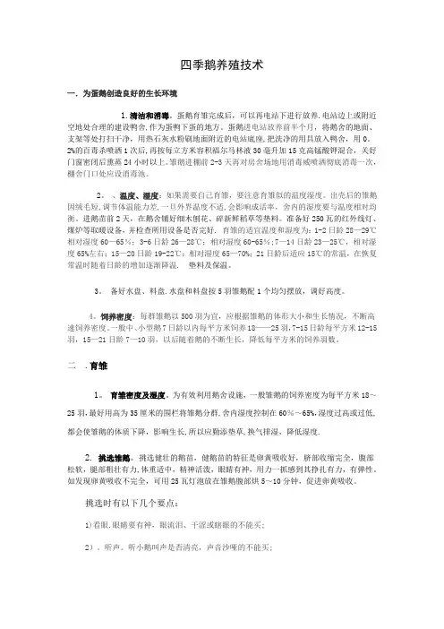蛋鹅的养殖技术及流程